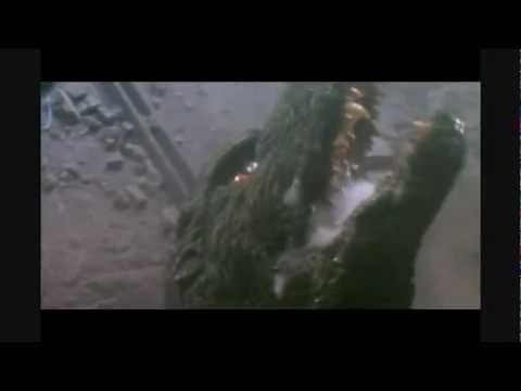 Godzilla tribute Music Video