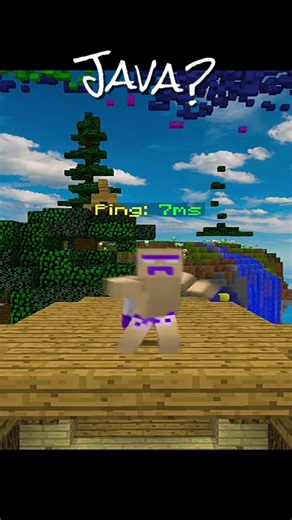 #minecraft #java #bedrock#otroedit