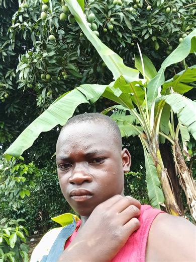 Ugandan Program (@ugandanprogram1)’s videos with original sound - Ugandan Program