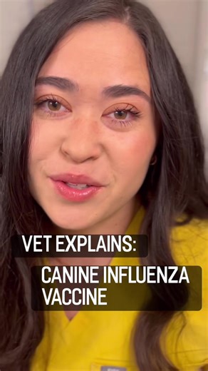 Canine Influenza: Vaccination Importance for Dogs