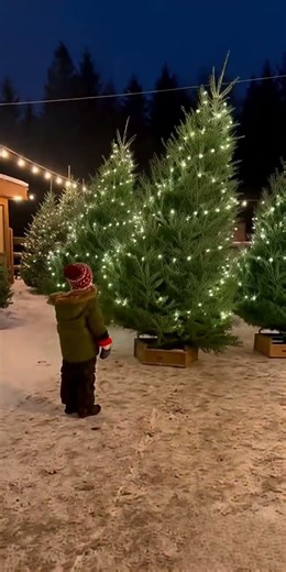 Dancing Christmas Trees Go Viral on Jingle Bells Remix! 🤣🎄 #viral #funny #jinglebells #christmas