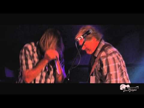 Milking Cow - Blue Shaddy - Blues at Bridgetown