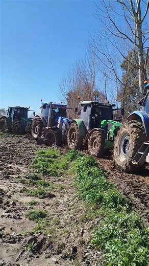 Four tractors trying to rescue a trailer stuck in a swamp.