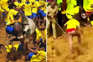 Bull rips man's pants off during public festival