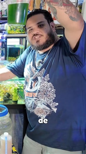 BamFish on Instagram: "Por que es tan importante el Fitoplancton en nuestros sistemas?"