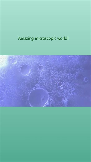 Amazing microscopic world! #science #shorts