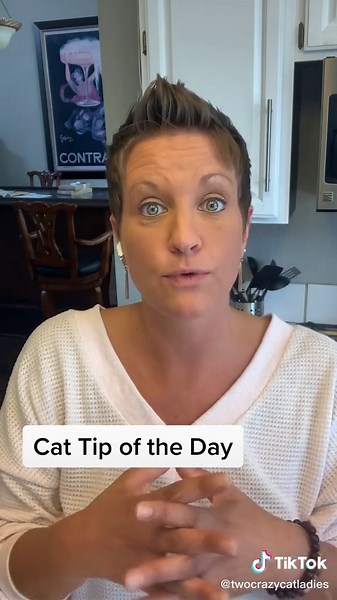 Cat Discipline Tips: Best Ways to Train Your Feline Friend