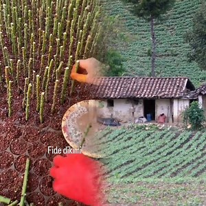 14 años y ni una cobija te compraste 😅😅😅 #sigueme_para_mas_videos #tiktokviral #reelsviralシ #humorviral #elmexitachi #humor | C4D M4rtin4