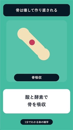 骨はなぜ作り直される？体の仕組みを解説 #shorts