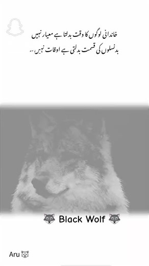 Exploring the Personality of the Black Wolf