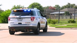 Newborn baby girl found abandoned near bayou, Texas sheriff says