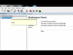 PolyWorks: Workspace Explanation