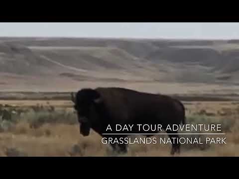 A Day Tour Adventure, Grasslands National Park, SK, Canada