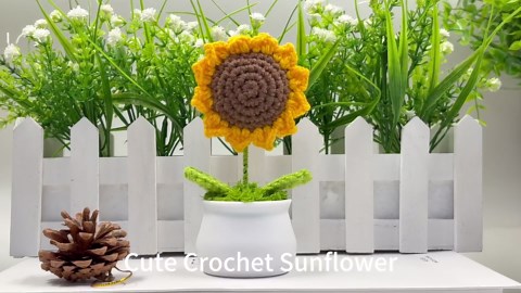 CableCreation USB C Short Cable 0.5ft,USBC Monitor 8K@30Hz/4K@120Hz, 240W Type C Charging,20G USBC Data,USB C 3.2 Gen 2x2 for Thunderbolt 4/3,Cellphone, Laptop, Android Auto, Carplay,iPhone 15/16/17