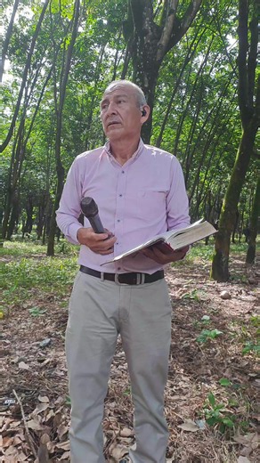 Dios te ama: mensaje de esperanza y gratitud