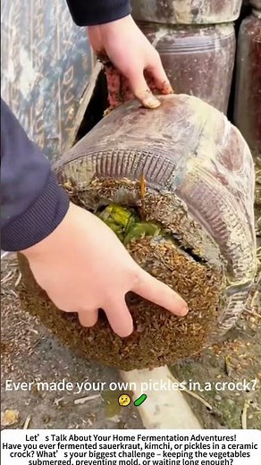 Opening a Fermentation Crock – Traditional Pickles Ready to Eat 🥒🏺