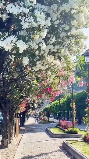 Lake Como | Italy’s Stunning Lakeside Paradise