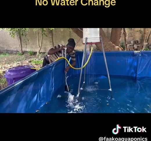 Efficient Fish Farming with Recirculating Aquaculture System