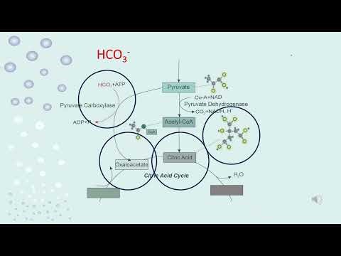 "Alkalinity" in Wastewater Treatment