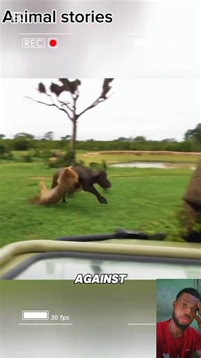 190K views · 1.7K reactions | The terrifying strength of the chimpanzee. #animals #foryou #fyp #everyone #pet | Animals stories | Facebook