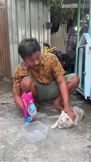 your cat eats first, okay? ❤️