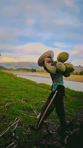 10M views · 283K reactions | Harvesting coconut Cinematic effects and Firewood Transition #mobilevideoediting #mobilevideography | Erix Abe | Facebook