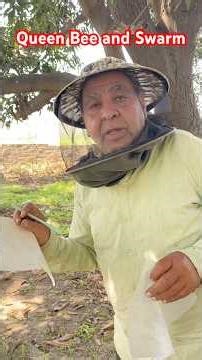 Queen bee and Swarm-Make a record of Queen #Beekeepingindia