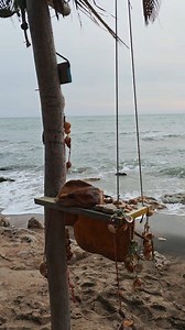 Ho scoperto quest'angolo dove rilassarsi e, magari, leggere un buon libro. 😊🌊 Ci troviamo lungo la spiaggia libera di Tor Caldara, nel comune di Anzio, litorale laziale. Il Viaggio Pontino di Stefano Orlando #ilviaggiopontino #anzio #torcaldara #novembre2025 #comunedianzio | Il Viaggio Pontino di Stefano Orlando