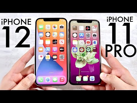 iPhone 12 Vs iPhone 11 Pro! (Comparison) (Review)