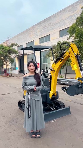 Explora la mini excavadora perfecta para tu proyecto familiar
