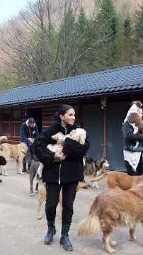 Ranchlife 🫶🏼 #savethedogsbih #rescue #dogs #pleasedonate #pleasehelp #rescuedogs #helpthemfoundation