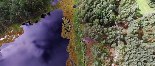 Army of One (2020) Watch HD