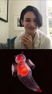 Jenny Slate introduces nature's nightlight. #naturepbs #pbs #jennyslate #wildlife #animals