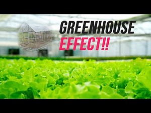 Palram Hybrid 6×10 Greenhouse review and assembly| JP Podcast Ep. 19 | Jp Podacst