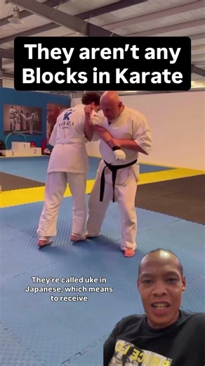 🙅🏽‍♂️Your teacher was wrong. They are not blocks🥋#karate #martialarts #kata #ninja #fight