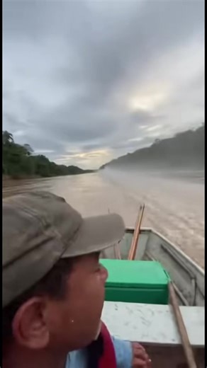 Incrível Peixe Torpedo: Rápido como um Jato