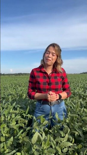 Gestão da Fazenda | MyFarm | Romy Meza