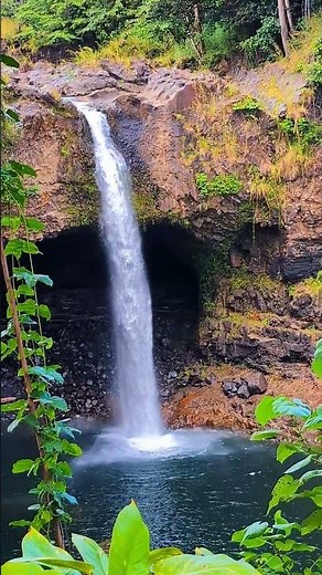 Rainbow Falls in Hawaii — Pure Magic 🌈✨ #Hawaii #tropicaldreamsphotography