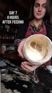 Making sourdough starter using freshly milled einkorn wheat & all purpose flour #sourdoughstarter