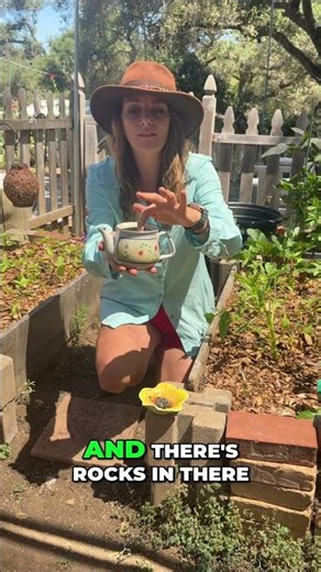 Garden Pollinator Tea: A MUST for Bees! #shorts