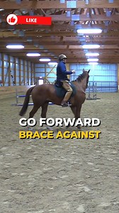 Jack Curtis Presenting: OTTB 1st Ride In A Halter 🐴 OTTB’s First Ride in a Halter – Trust Over Tack! 🐴 Most Off-the-Track Thoroughbreds (OTTBs) are used to strong bits and firm contact, but what happens when you remove all that and ride in just a halter? 🤯 The first ride in a halter isn’t about control—it’s about communication, trust, and softness. Without a bit, you can’t rely on rein pressure alone. Instead, you must refine your seat, energy, and feel to guide the horse. ✨ Key Takeaways fro