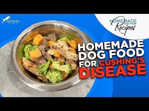 Recipe: Homemade Dog Food for Cushing's Disease