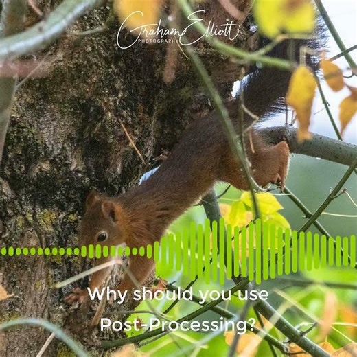 7 Reasons to use Post Processing soundbite #learnphotography #photographyediting #editingphotos