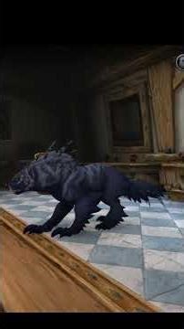 Haranir New Druid Forms / Color Variation #worldofwarcraft #watchnow #gamer #fyp #foryoupage #viral