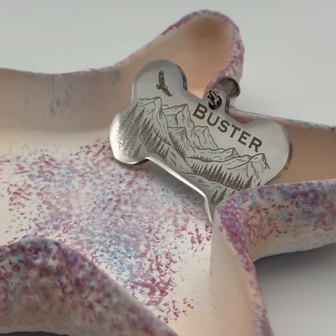 Personalized Stainless Steel Dog Tag, Engraved Pet ID, Mountain Landscape Charm - Etsy