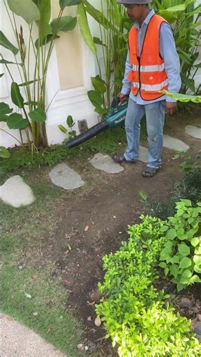 Ultimate Cordless Leaf Blower Test #shortvideo #trending #video #viral #shorts