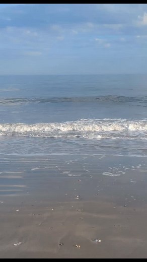 “I could never in a hundred summers get tired of this.” – Susan Branch Although summer has officially ended, yesterday was warm enough for shorts and a barefoot walk on the beach. If you look closely, you can see dolphins in the background as well. | Coastal Soul Photography and Design