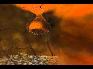 Clip 1: Tooth Development