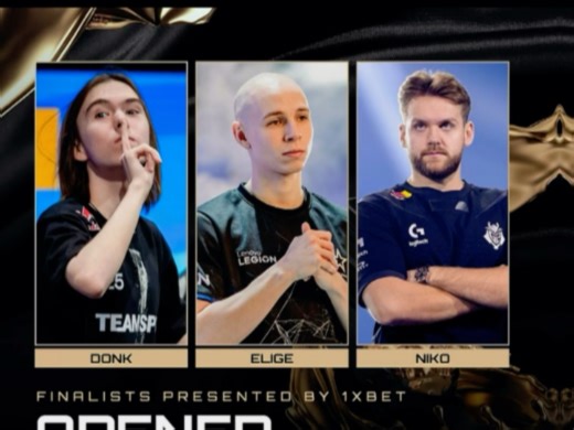 年度最佳狙击手与步枪手的位置难道属于G2最强双子星？