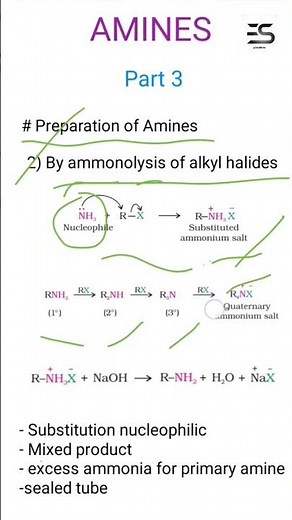 Ammonolysis of alkyl halides || preparation of amines|| #amines class 12 || #edushots